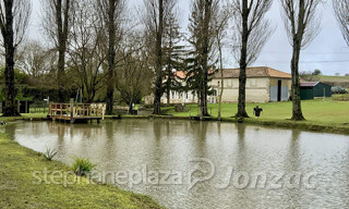 Photo N° 5