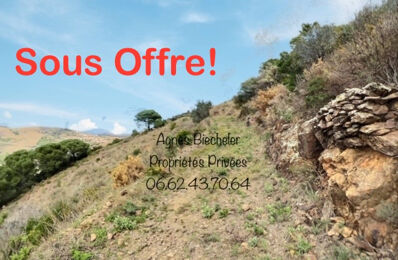 vente terrain 15 000 € à proximité de Saint-Cyprien (66750)
