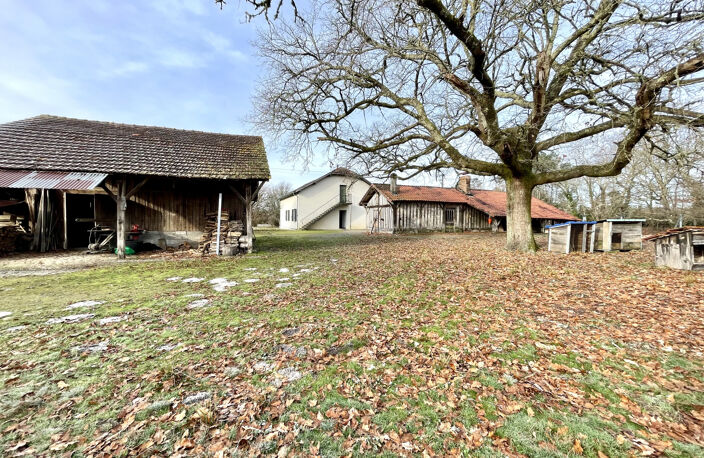 Petit corps de ferme situé à 25 minutes de Mont de Marsan — photo 2