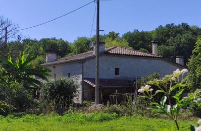vente maison 270 000 € à proximité de Caubon-Saint-Sauveur (47120)