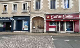 Maison 20 Pièces 450 m² à vendre à Valençay (36600)