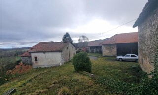Photo N° 8