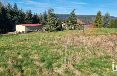 vente terrain 50 000 € à proximité de Ban-de-Laveline (88520)