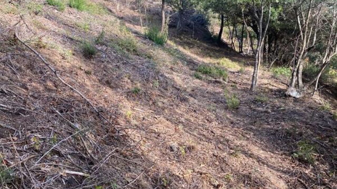 terrain  pièces 3530 m2 à vendre à Vignale (20290)