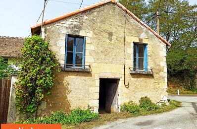 vente maison 56 000 € à proximité de Ouzilly (86380)