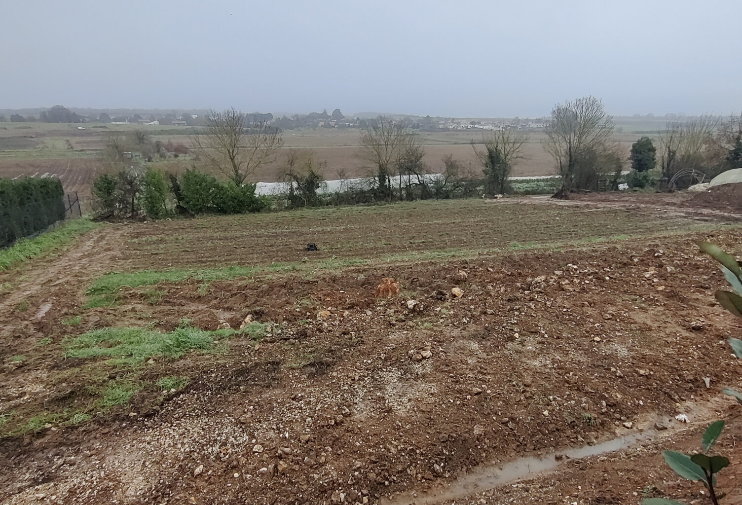 Vente terrain   Saint-Sulpice-d'Arnoult (17250) — photo 1