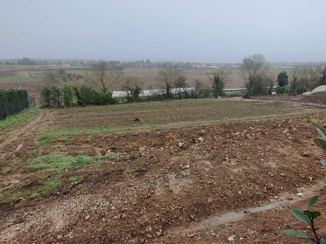 Terrain à Saint-Sulpice-d'Arnoult — photo du bien