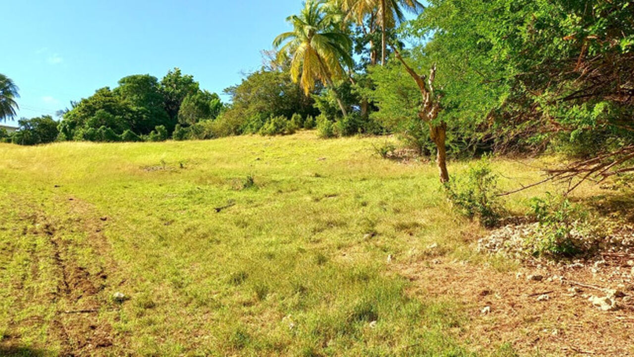 terrain  pièces 4400 m2 à vendre à Sainte-Anne (97180)