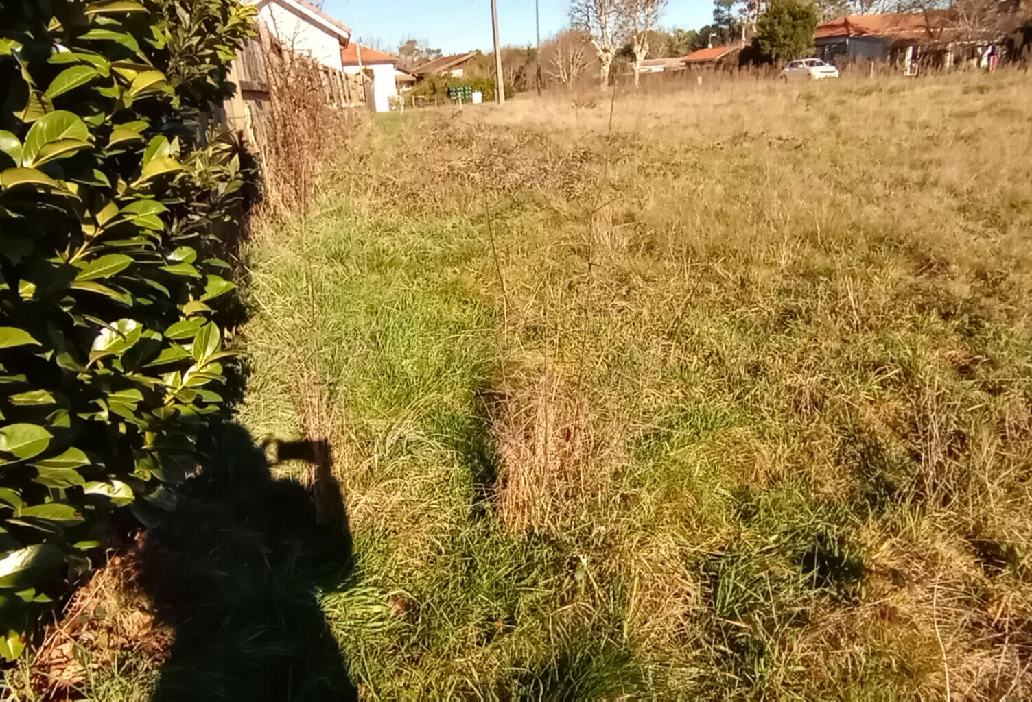 Terrain de 800 m² à Lège — photo 1