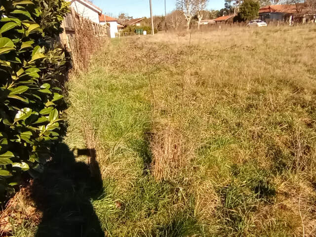 Terrain de 800 m² à Lège — photo du bien
