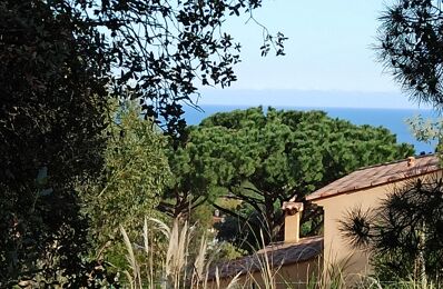 vente terrain 974 500 € à proximité de Sainte-Maxime (83120)