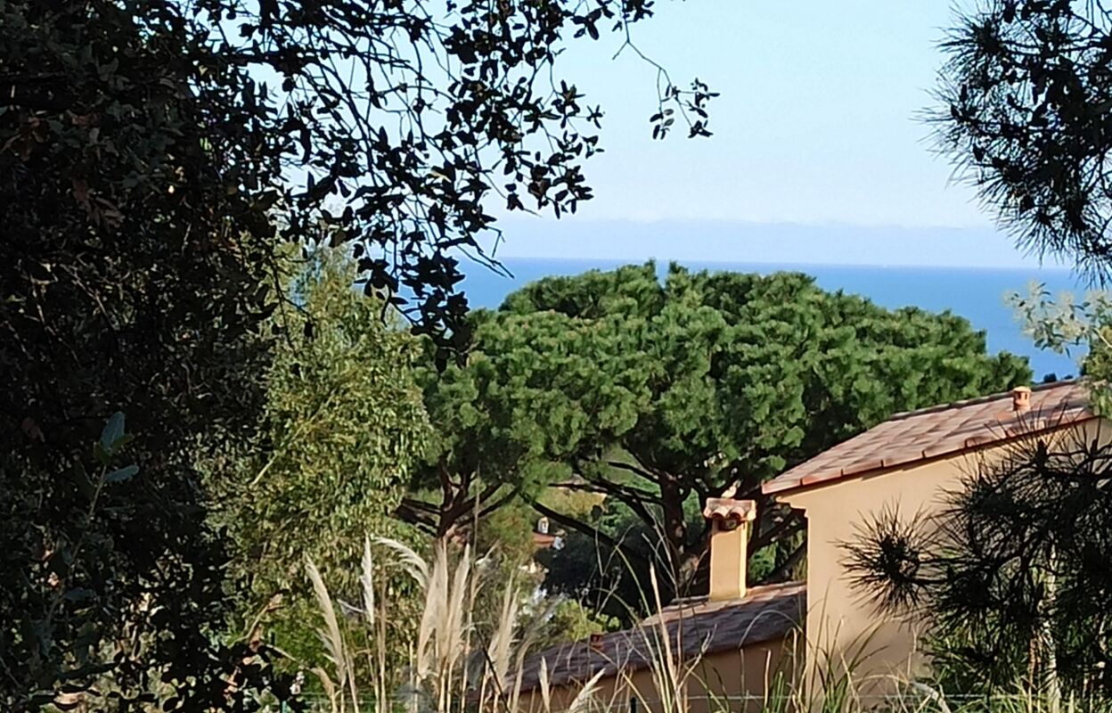 terrain  pièces 1240 m2 à vendre à Sainte-Maxime (83120)