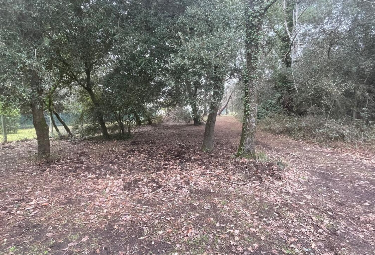 Terrain À Vendre — photo 1