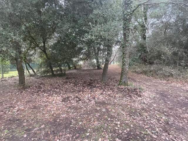 Terrain À Vendre — photo du bien
