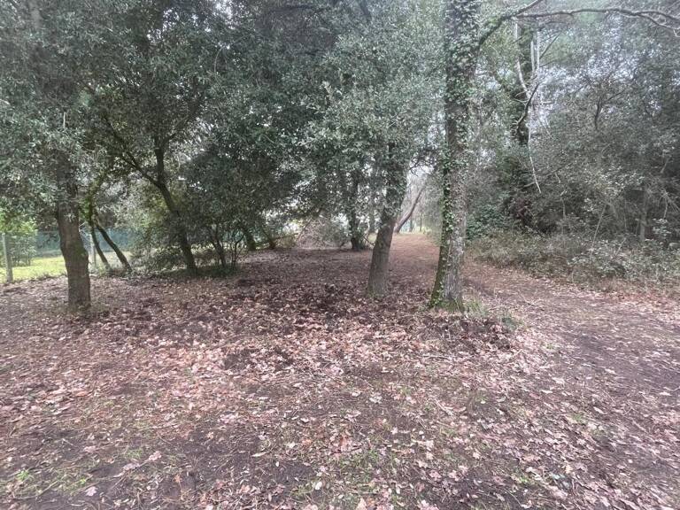 Terrain À Vendre — photo 1