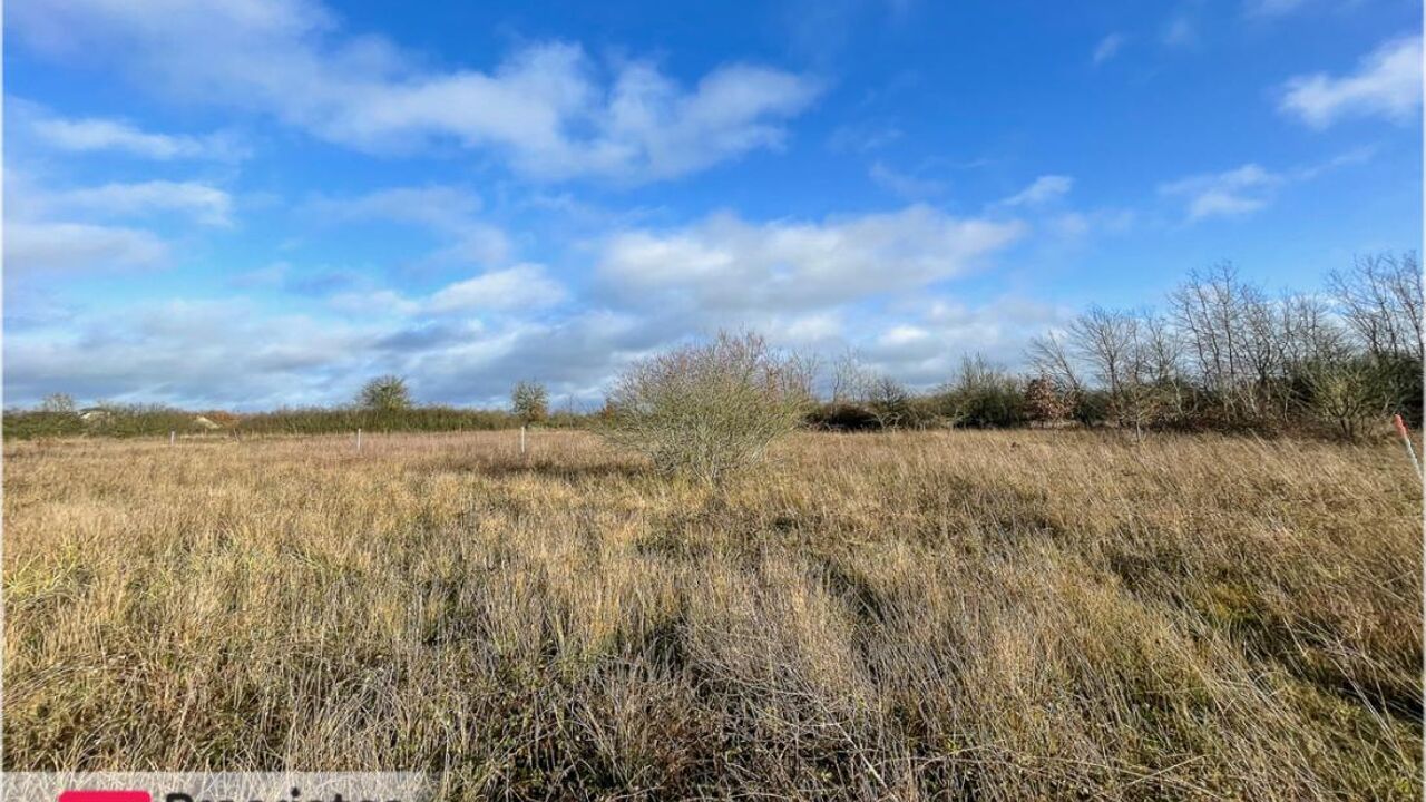 terrain  pièces 1550 m2 à vendre à Châtres-sur-Cher (41320)