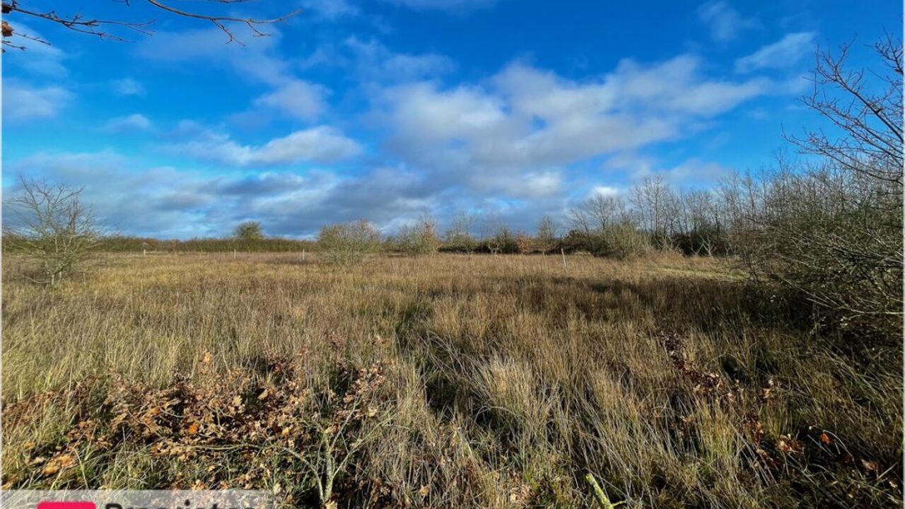 terrain  pièces 1350 m2 à vendre à Châtres-sur-Cher (41320)