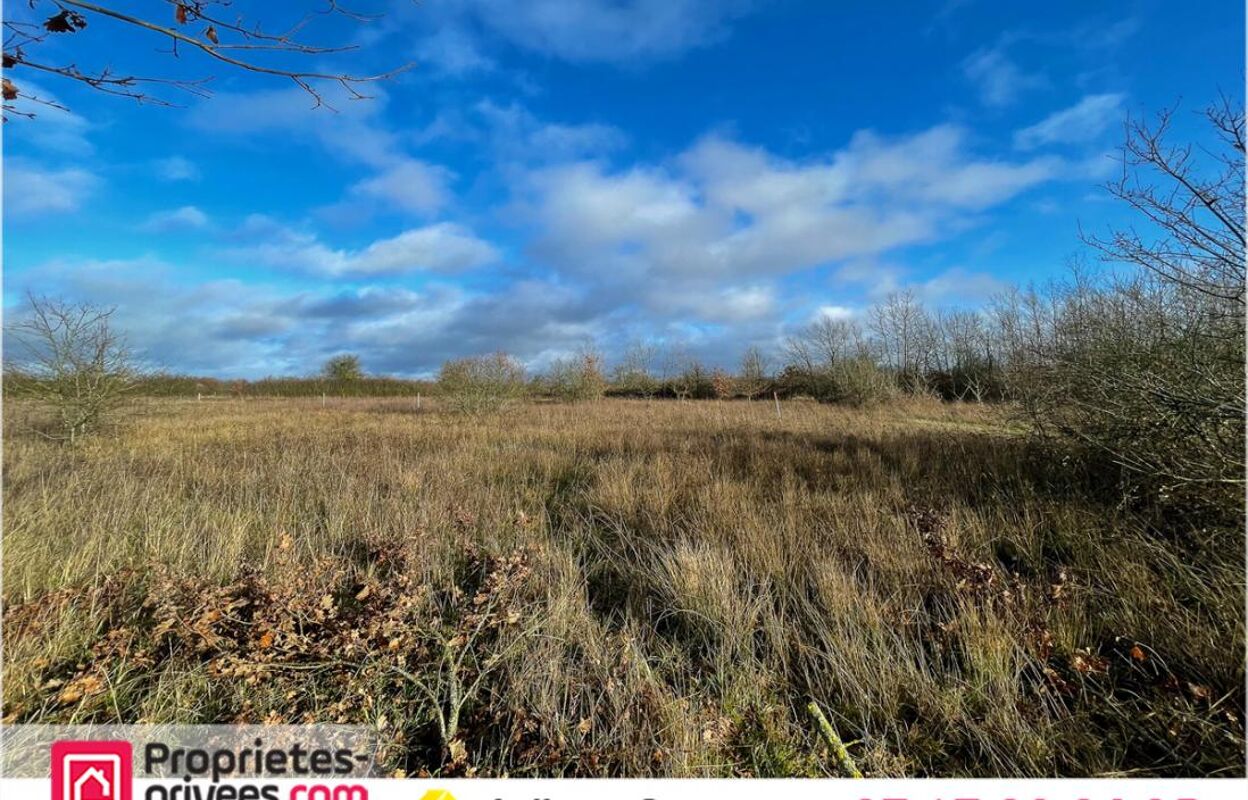 terrain  pièces 1350 m2 à vendre à Châtres-sur-Cher (41320)