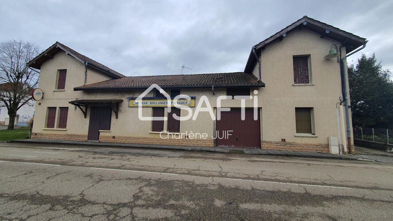maison 14 pièces 350 m2 à vendre à Montrevel-en-Bresse (01340)