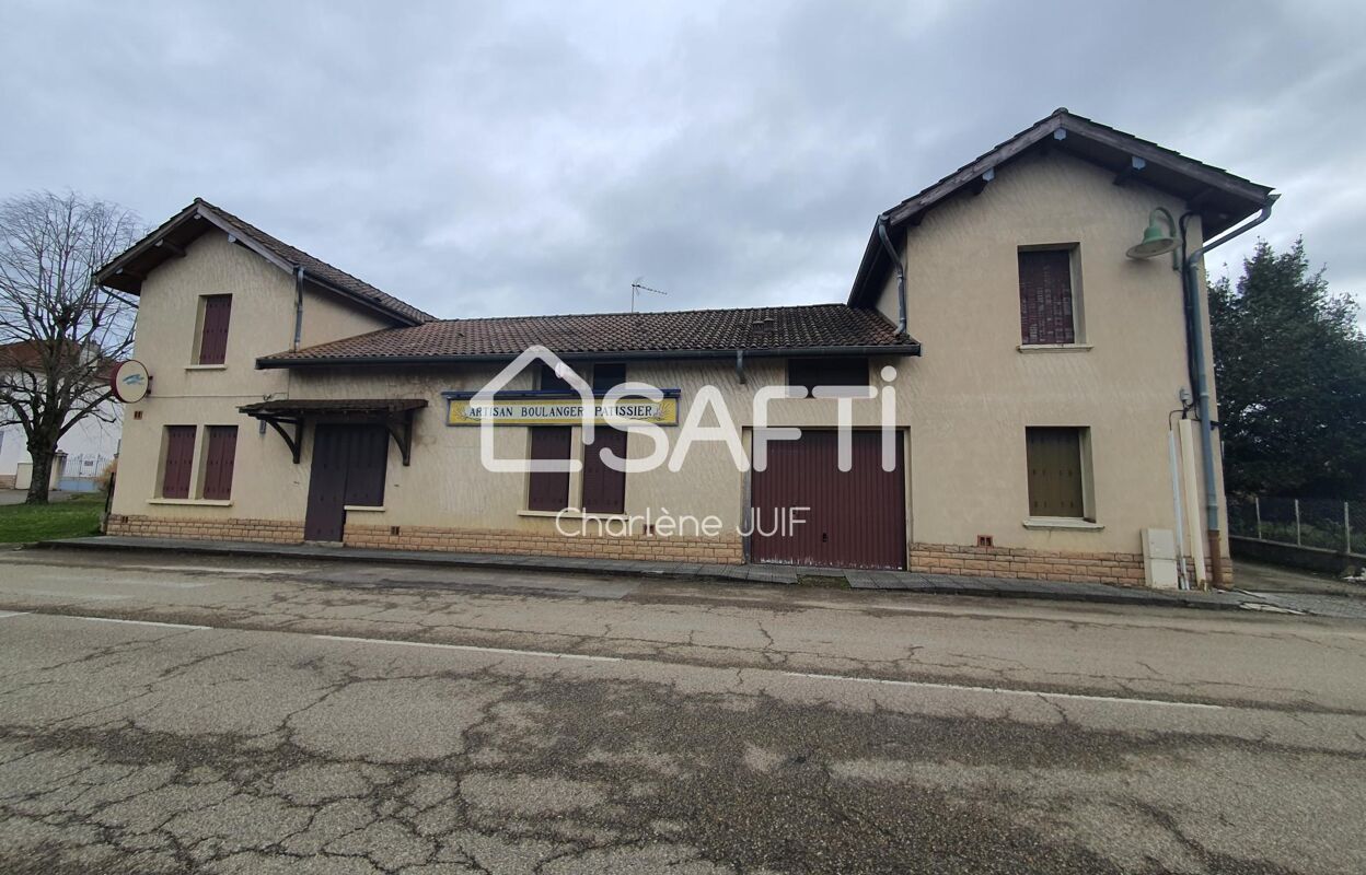 maison 14 pièces 350 m2 à vendre à Montrevel-en-Bresse (01340)