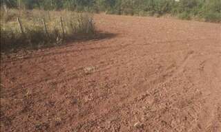 Terrain  1725 m² à vendre à Ussac (19270)