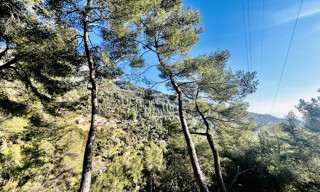 Photo N° 6
