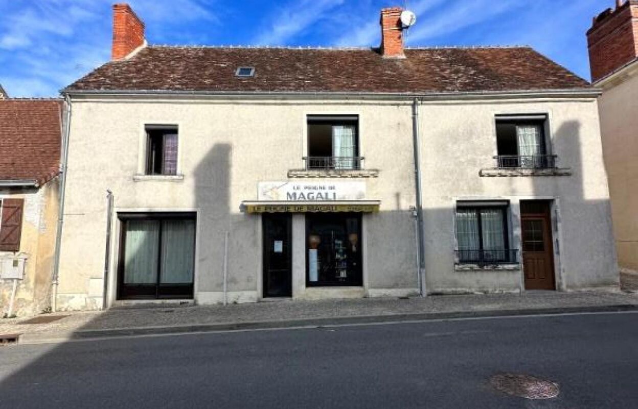 maison 6 pièces 238 m2 à vendre à Palluau-sur-Indre (36500)