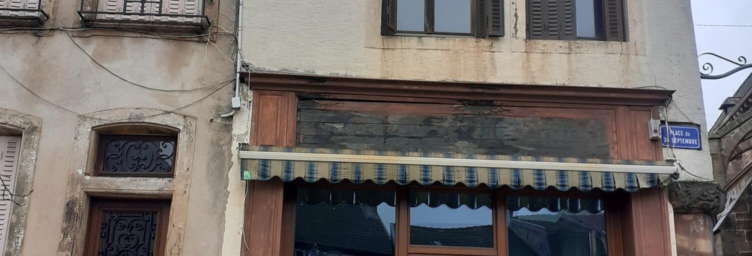 Immeuble  100 m² à vendre à Rambervillers (88700)