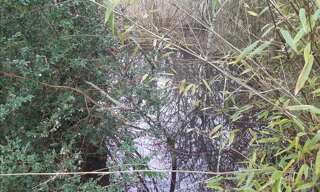 Terrain  1078 m² à vendre à Buzançais (36500)