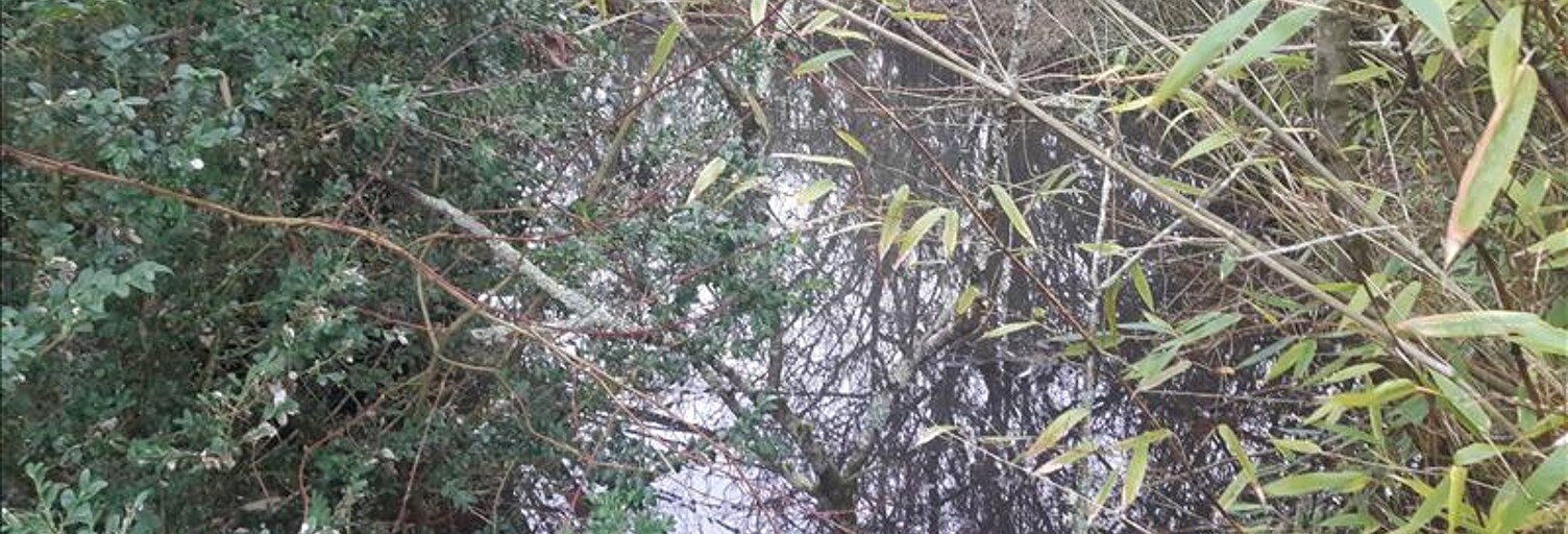 Terrain  1078 m² à vendre à Buzançais (36500)