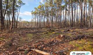 Maison  1570 m² à vendre à Châtillon-sur-Cher (41130)