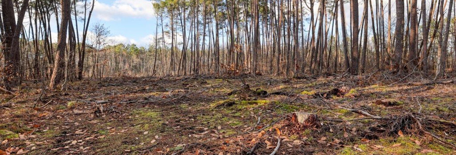 Maison  1570 m² à vendre à Châtillon-sur-Cher (41130)