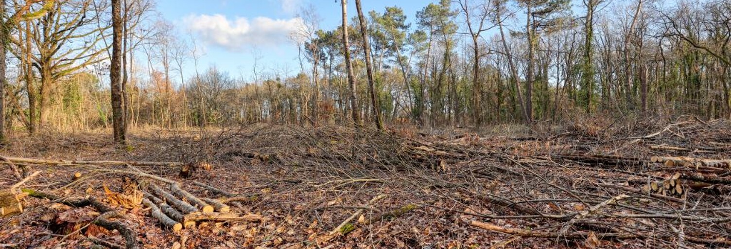 Maison  3925 m² à vendre à Châtillon-sur-Cher (41130)