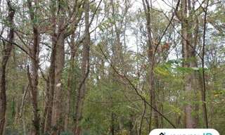 Maison  5570 m² à vendre à Châtillon-sur-Cher (41130)