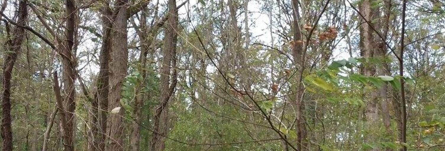 Maison  5570 m² à vendre à Châtillon-sur-Cher (41130)