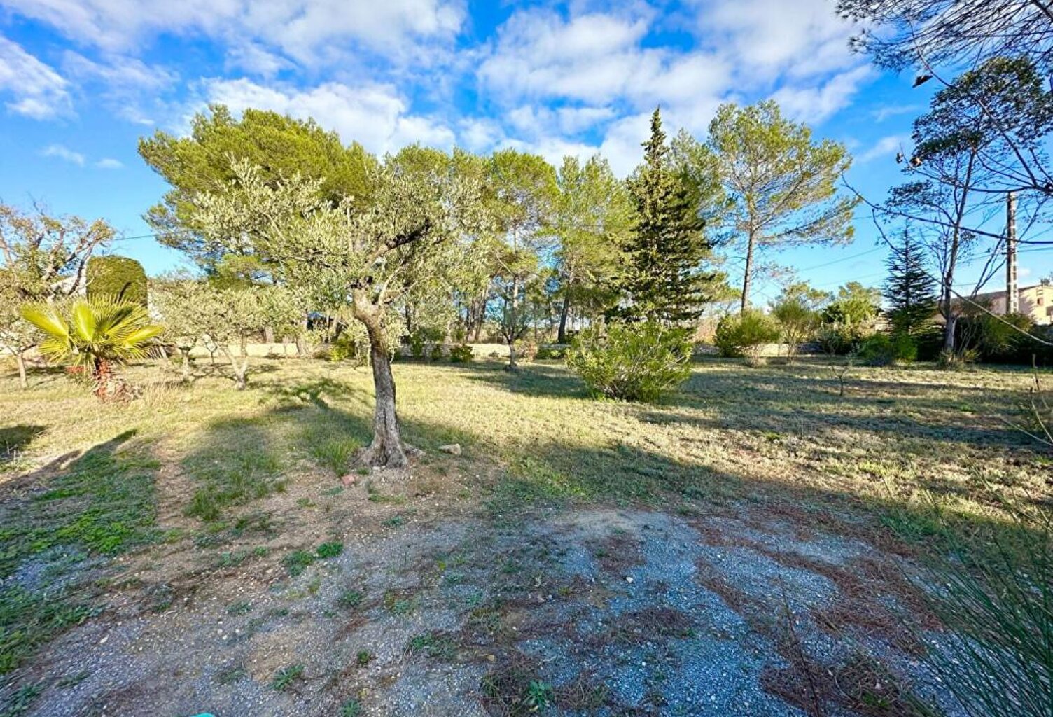 Terrain Brignoles 1000 m2 — photo 1