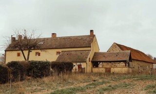 Photo N° 14