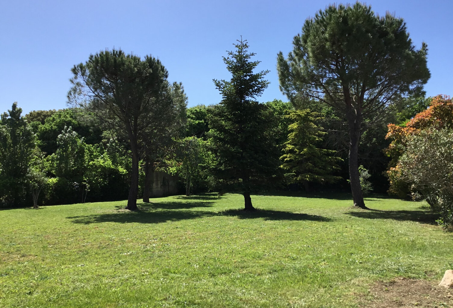 TERRAIN QUARTIER CALME PLAT  CLOS ET ARBORE — photo 1