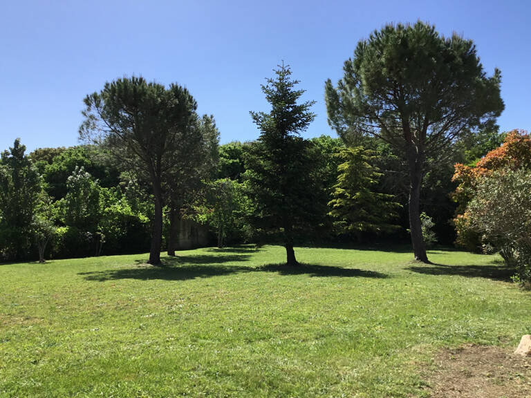 TERRAIN QUARTIER CALME PLAT  CLOS ET ARBORE — photo 1