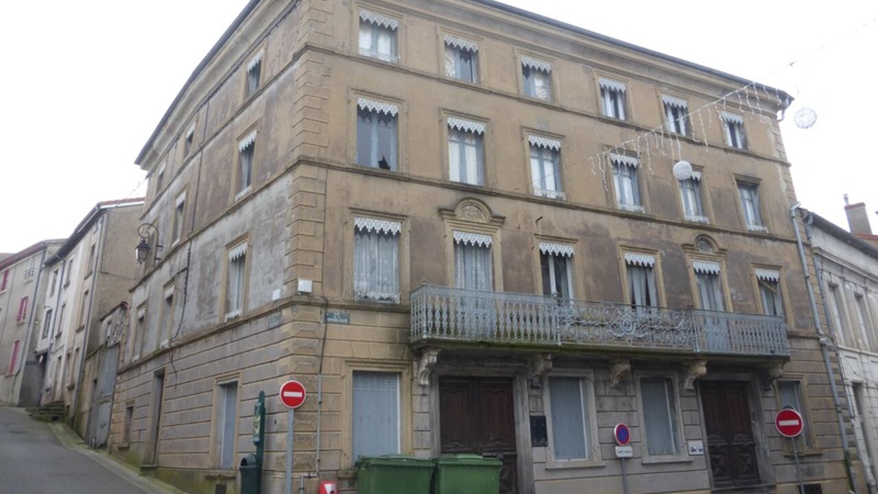 maison 40 pièces 1200 m2 à vendre à Panissières (42360)