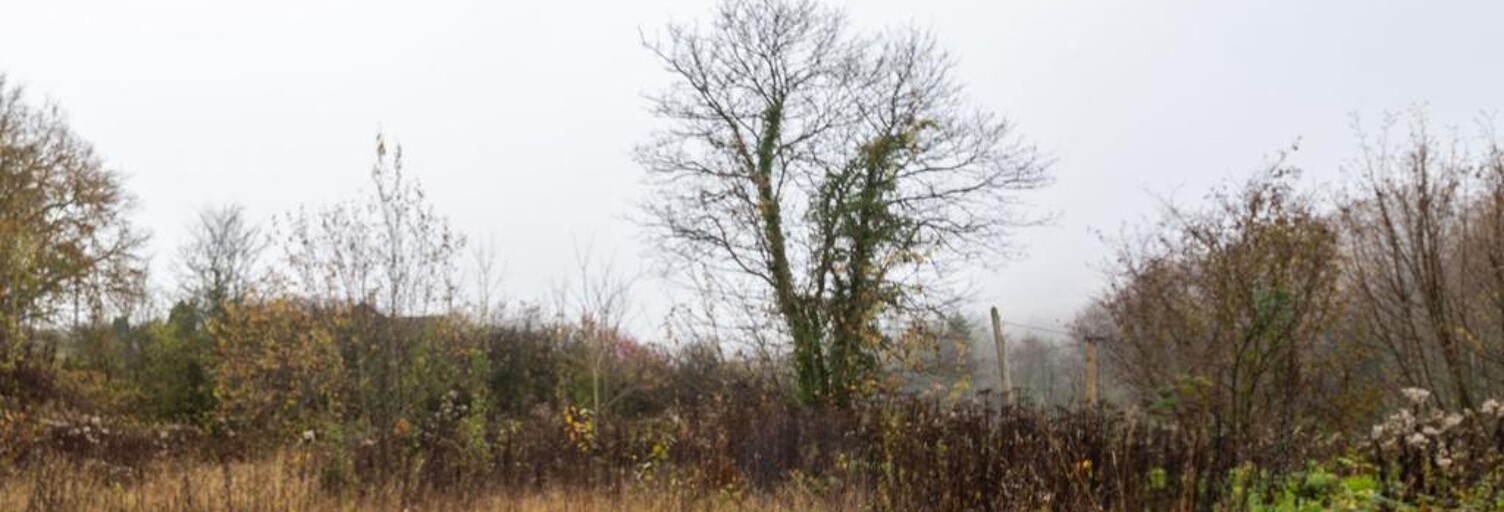 Terrain  3030 m² à vendre à Haraucourt (08450)