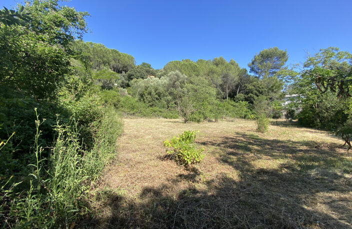 st Georges d'orques -  grande villa de 390 m2 à rénover sur — photo 2