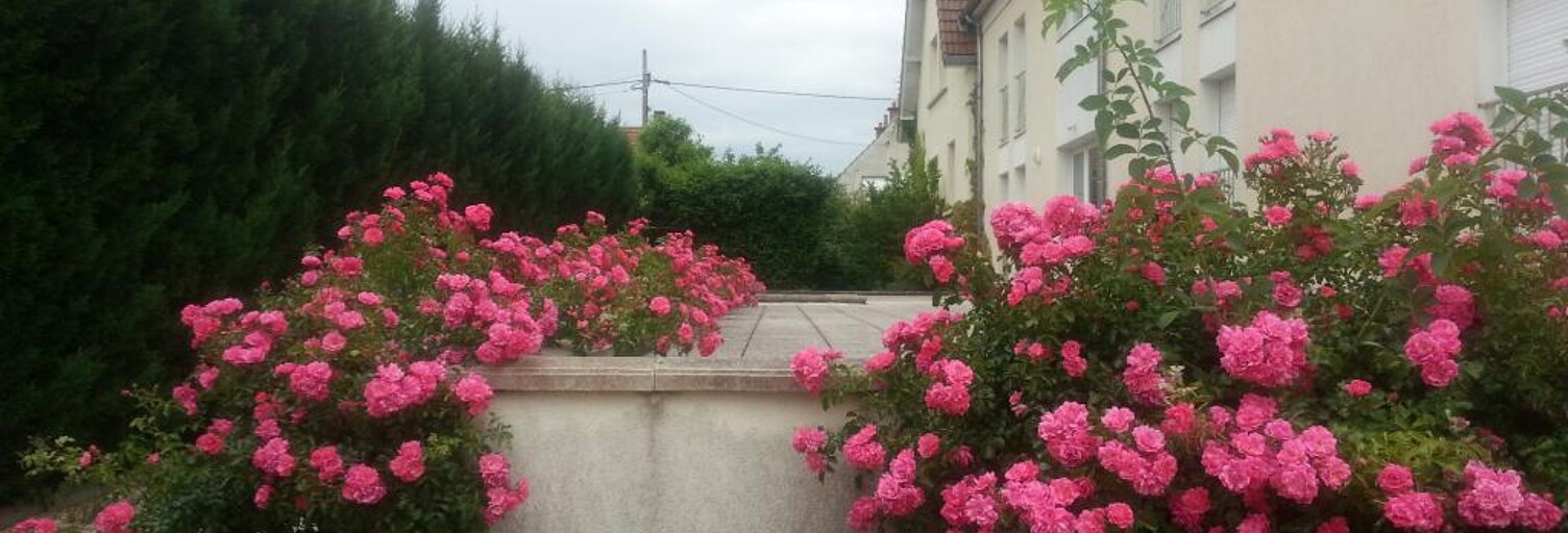 Appartement 1 Pièce 22 m² à louer à Dijon (21000)