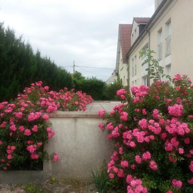 Appartement 1 pièces 500 €