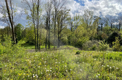 vente terrain 203 500 € à proximité de Niederhaslach (67280)