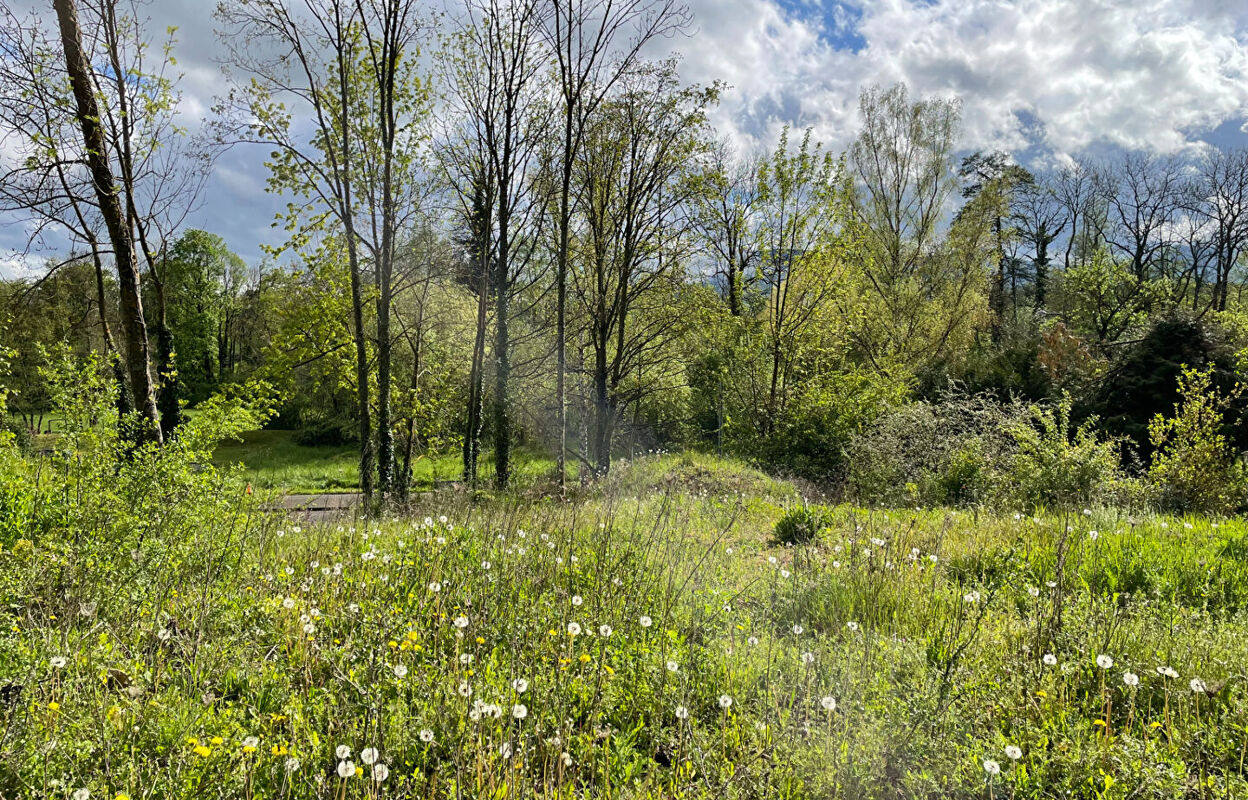 terrain  pièces 436 m2 à vendre à Obernai (67210)