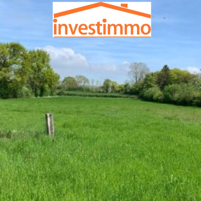 Terrain  60000 €