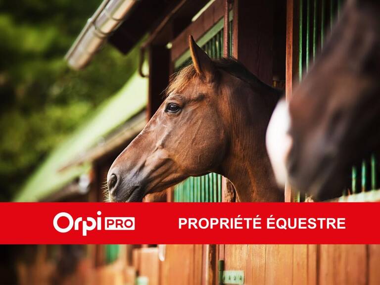 PROPRIÉTÉ ÉQUESTRE — photo 1