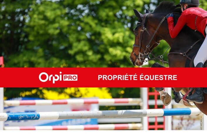 PROPRIÉTÉ ÉQUESTRE — photo 2