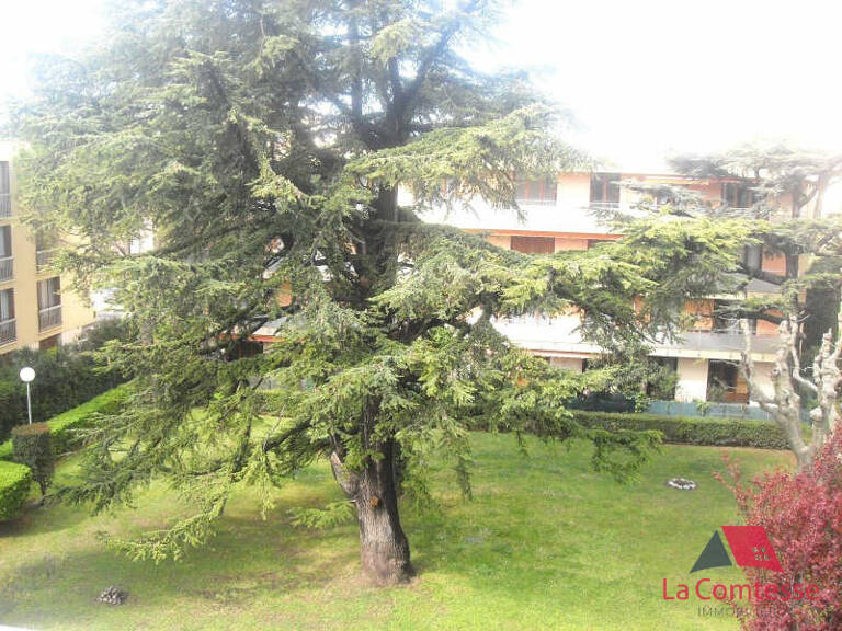 TYPE 3 SAINT JULIEN LES HAUTS DE SAINT JULIEN — photo 1